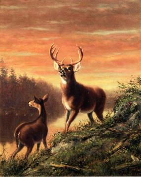 Evening At Forked Lake, Hamilton County, New York Artwork by Arthur Fitzwilliam Tait