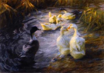 Ducks among the Reeds in a Pond Artwork by Alexander Koester