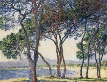 Trees By The Seashore At Antibes Artwork by Claude Oscar Monet