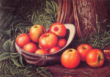 Still Life of Apples in a New York Giants Cap Artwork by Levi Wells Prentice