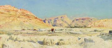 Terrains à Bou Saada Artwork by Maxime Noiré