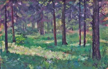 Study Artwork by Pyotr Konchalovsky