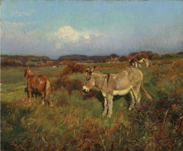 A Pony and Donkeys Artwork by Sir Alfred James Munnings