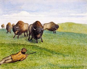 Hunting Buffalo Artwork by William George Richardson Hind