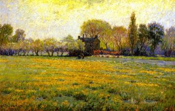 Dandelion Field Artwork by James T. Harwood