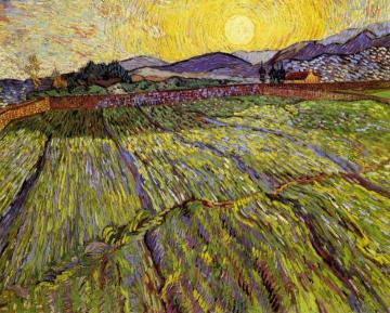 Wheat Field With Rising Sun Artwork by Vincent Van Gogh