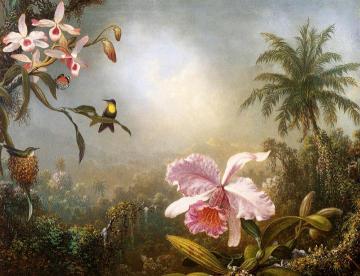 Orchids, Nesting Hummingbirds And A Butterfly Artwork by Martin Johnson Heade