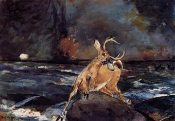 A Good Shot, Adirondacks Artwork by Winslow Homer