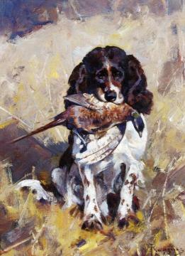 Spaniel Dickey With Pheasant Artwork by Carl Rungius