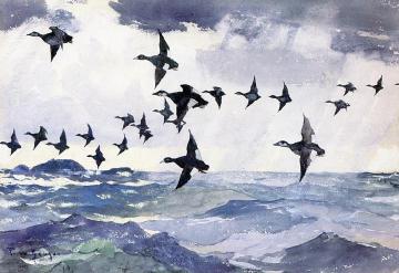Scoters over Water Artwork by Frank Weston Benson