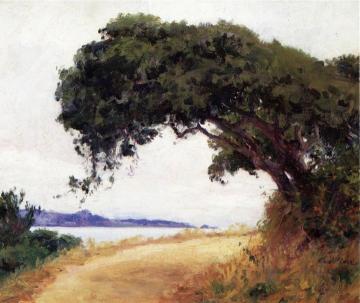 Point Lobos, Oak Tree Artwork by Guy Orlando Rose