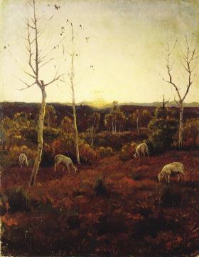 Sunset Artwork by Luigi Comoli