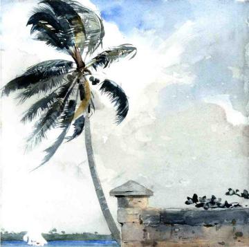 A Tropical Breeze, Nassau Artwork by Winslow Homer