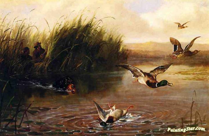 Duck Shooting Artwork by Arthur Fitzwilliam Tait