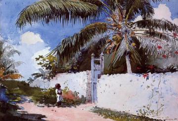 A Garden in Nassau Artwork by Winslow Homer
