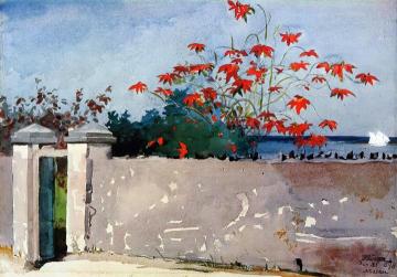 A Wall, Nassau Artwork by Winslow Homer