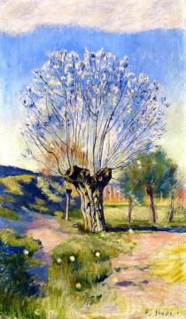 Willow Tree Artwork by Ferdinand Hodler