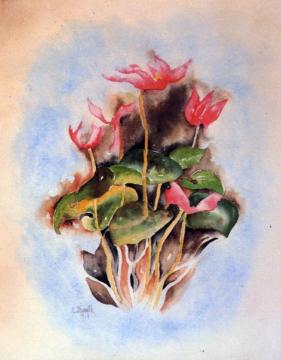 Pink Cyclamen Artwork by Charles Demuth