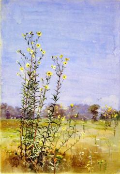 Daisies In A Meadow Artwork by Fidelia Bridges