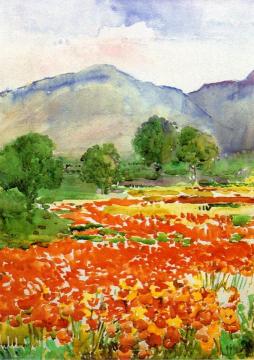 Field of Poppies, near Spoleto Italy Artwork by Annie G. Sykes