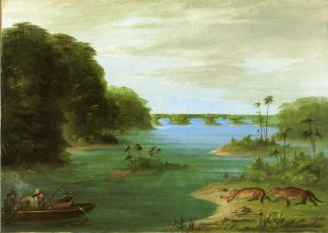 A Jaguar Hunt, Brazil Artwork by George Catlin