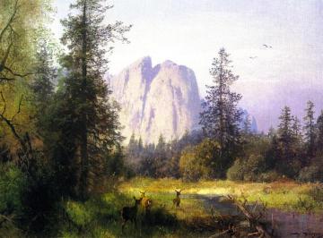 Yosemite Valley - A Family of Deer Artwork by Herman Herzog