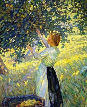 The Apple Gatherer Artwork by Helen Galloway McNicoll