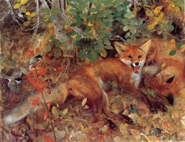 Foxes Artwork by Bruno Liljefors