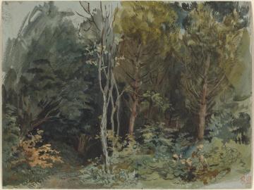 The Edge Of A Wood At Nohant Artwork by Eugène Delacroix