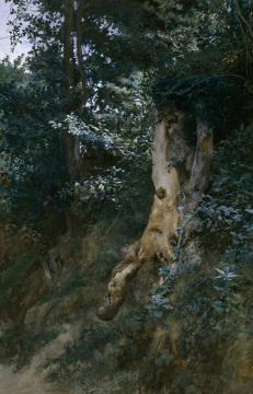 Paisaje Boscoso Artwork by Jose Jimenez y Aranda