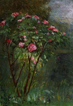 Rose Bush in Flower Artwork by Gustave Caillebotte