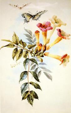 Arrangement of Trumpet Flowers Artwork by Raoul de Longpre