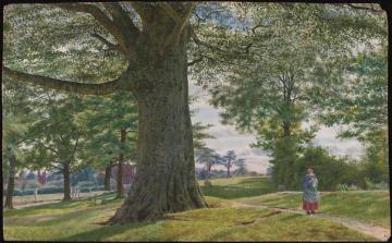 A Girl by a Beech Tree in a Landscape Artwork by George Price Boyce