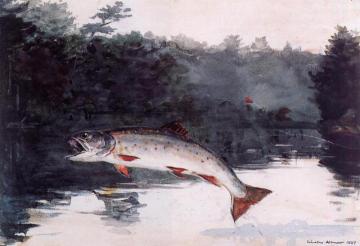 Leaping Trout Artwork by Winslow Homer