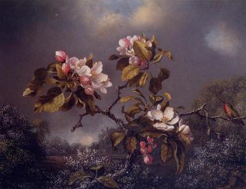 Apple Blossoms and Hummingbird Artwork by Martin Johnson Heade
