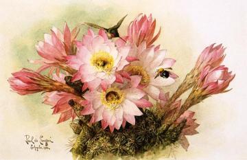 Cactus Blossoms Artwork by Raoul de Longpre
