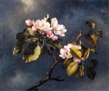 Apple Blossoms Artwork by Martin Johnson Heade