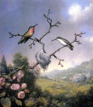 Hummingbirds and Apple Blossoms Artwork by Martin Johnson Heade