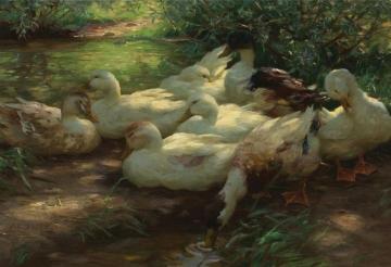 Eight Ducks on the Riverbank Artwork by Alexander Koester