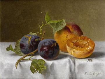 Plums and Apricots Artwork by Emilie Preyer