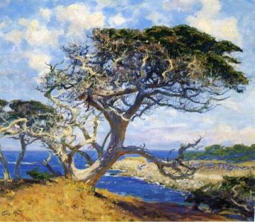 Monterey Cypress Artwork by Guy Orlando Rose