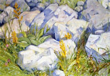 Little Study of Stones Artwork by Franz Marc