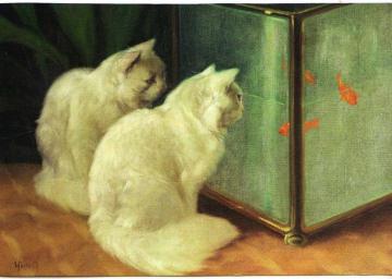 White Cats Watching Goldfish Artwork by Arthur Heyer