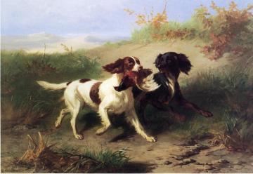 Two Spaniels in a Landscape Artwork by Condradyn Cunaeus
