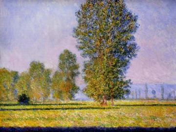 Meadow at Limetz Artwork by Claude Oscar Monet