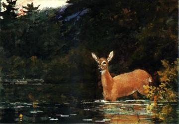 Solitude Artwork by Winslow Homer