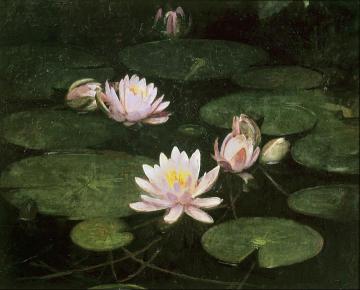 Waterlilies Artwork by Abbott Handerson Thayer
