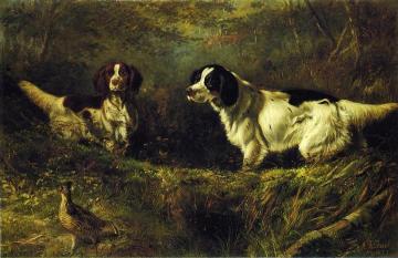 October in the Forest Artwork by Arthur Fitzwilliam Tait