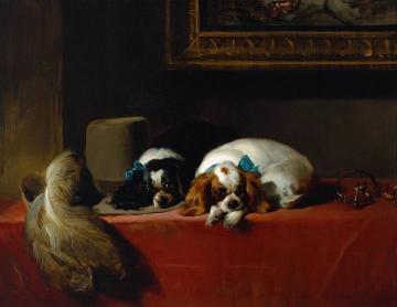King Charles Spaniels, 1845 Artwork by Edwin Henry Landseer