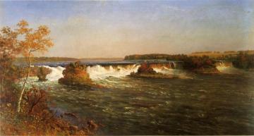 Falls of St. Anthony Artwork by Albert Bierstadt